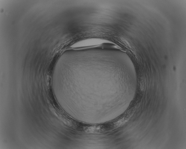 X0000087350366200705181132