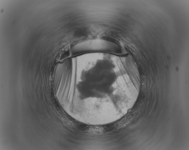 X0000087350369200705181132