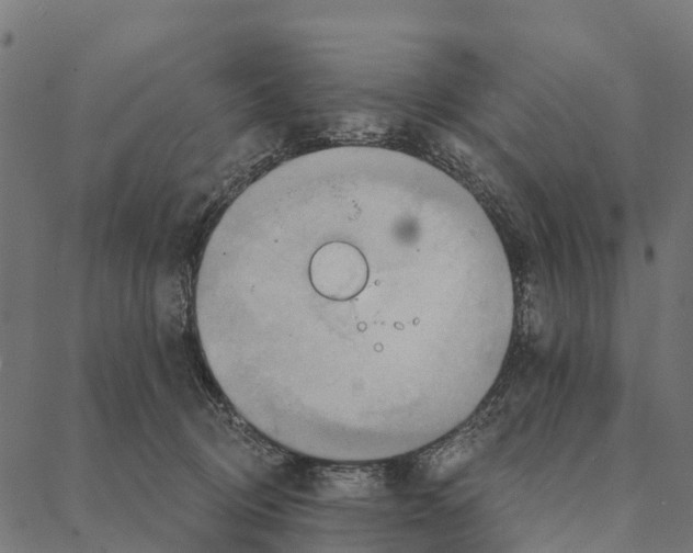 X0000087350370200705181132