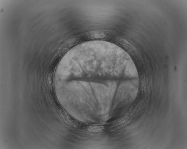 X0000087350373200705181132