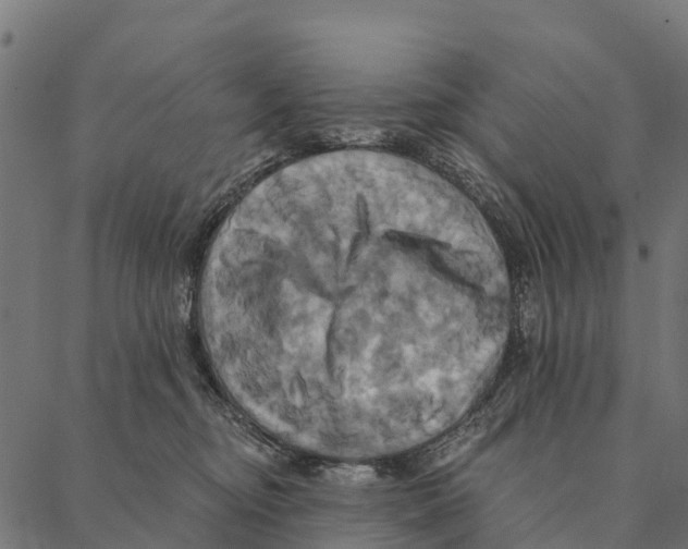 X0000087350374200705181132