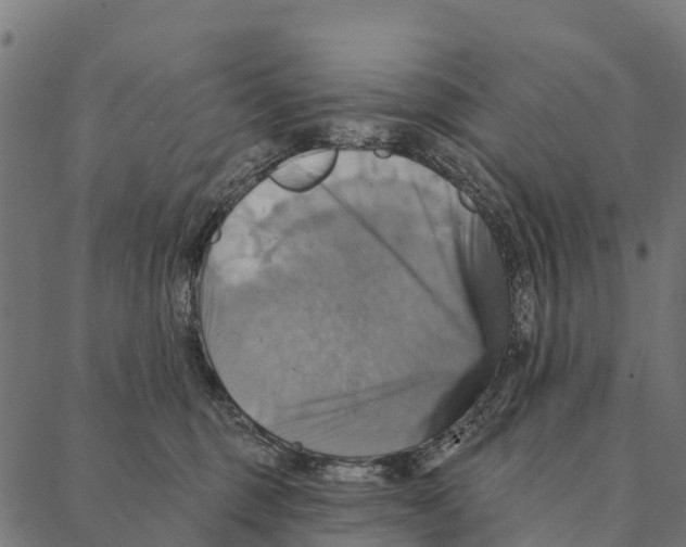 X0000087350375200705181132