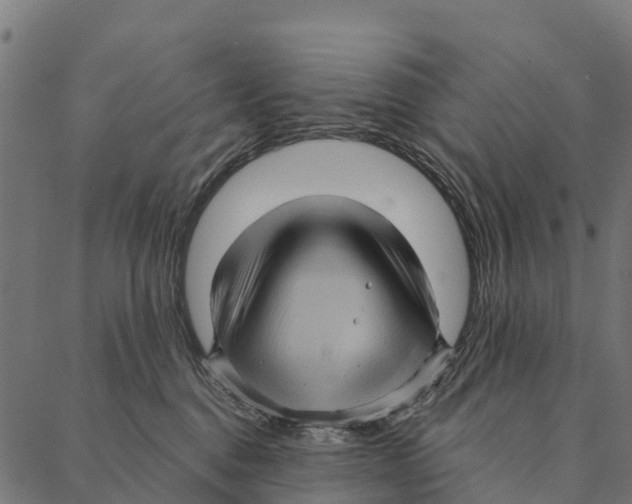 X0000087350376200705181132