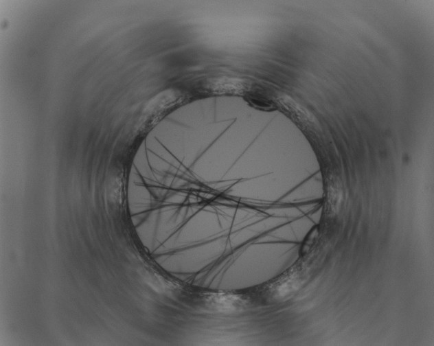 X0000087350379200705181132