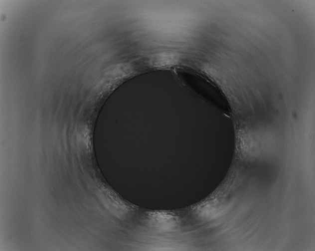 X0000087350380200705181132