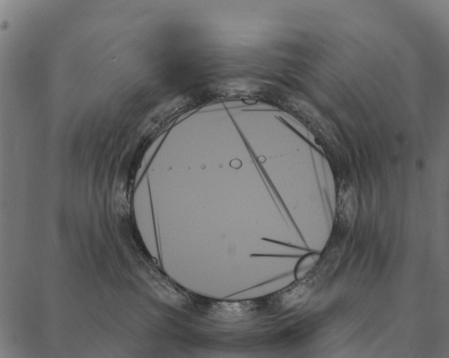 X0000087350381200705181132