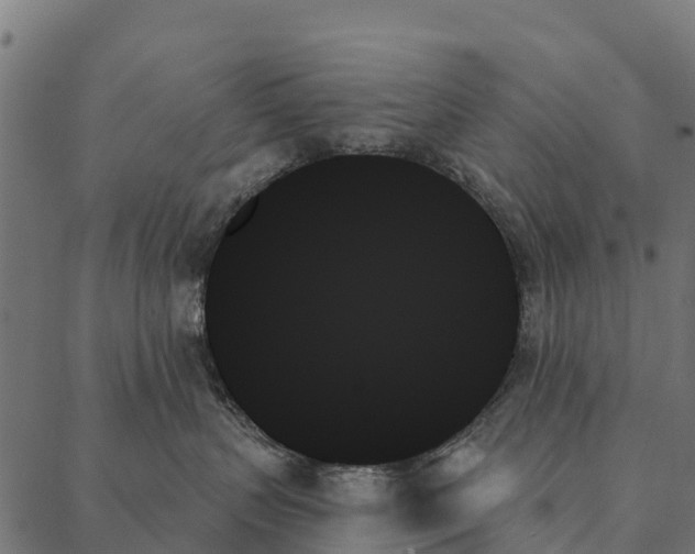 X0000087350383200705181132