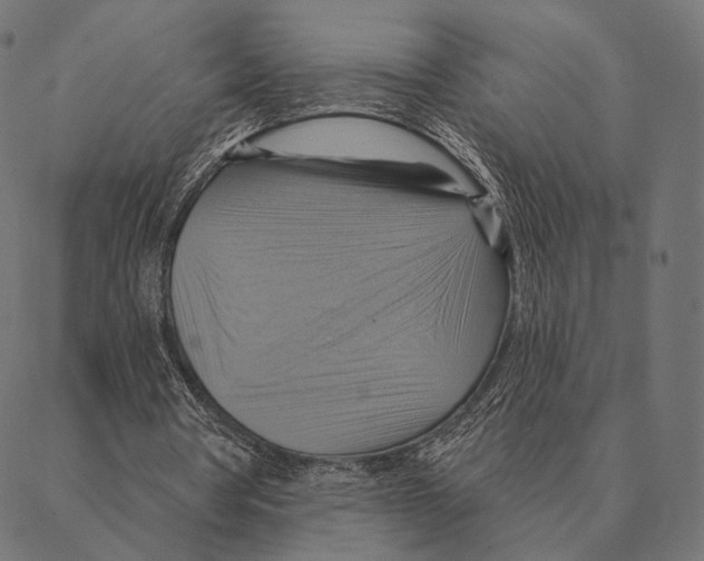 X0000087350386200705181132