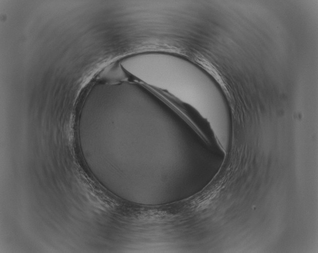 X0000087350387200705181132