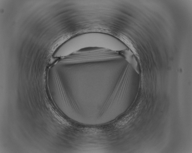 X0000087350389200705181132