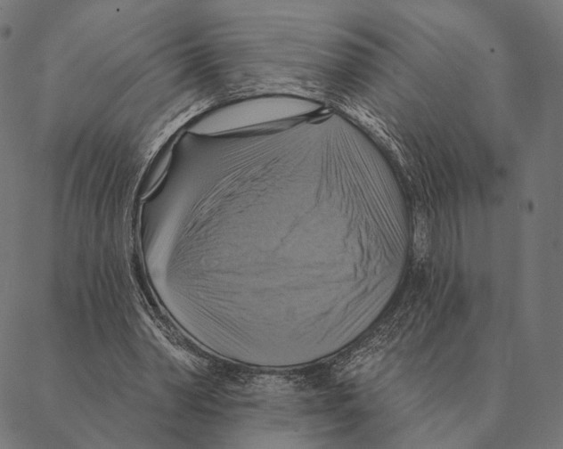 X0000087350390200705181132