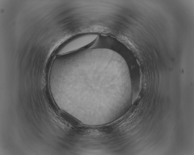 X0000087350392200705181132