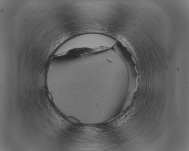 X0000087350393200705181132