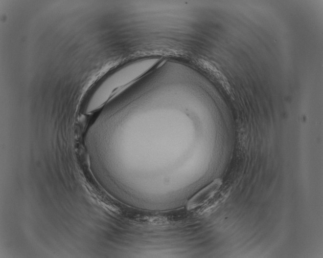 X0000087350395200705181132