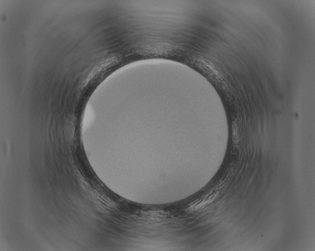 X0000087350396200705181132