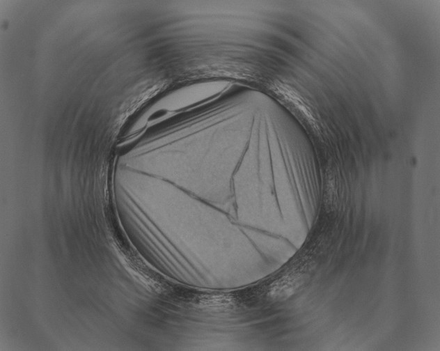 X0000087350398200705181131