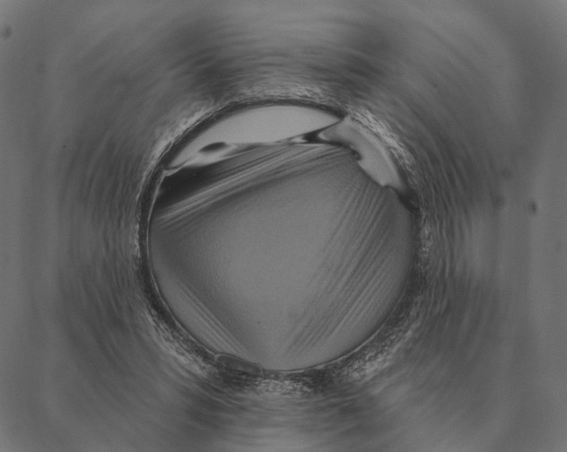 X0000087350399200705181131