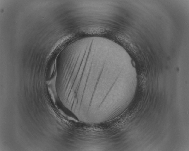 X0000087350400200705181131