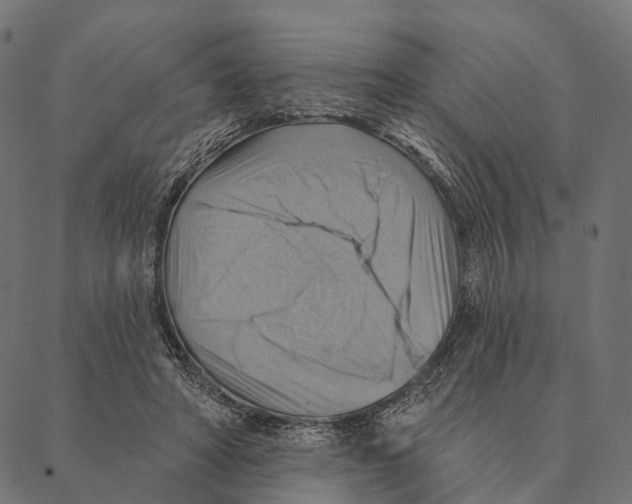 X0000087350402200705181131