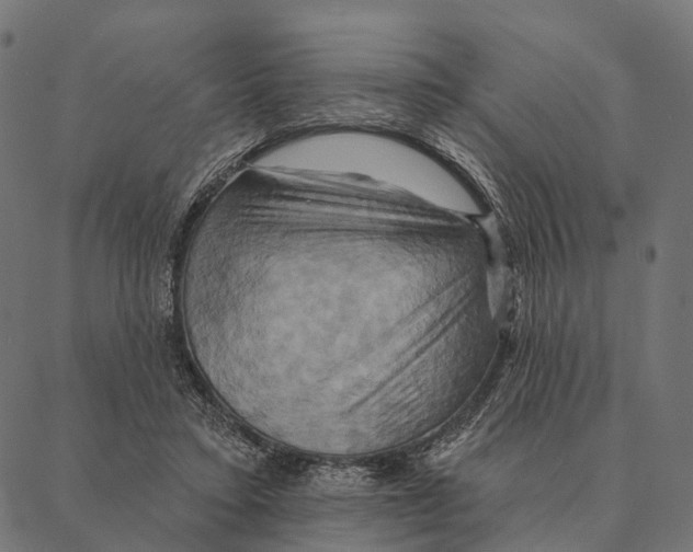 X0000087350403200705181131