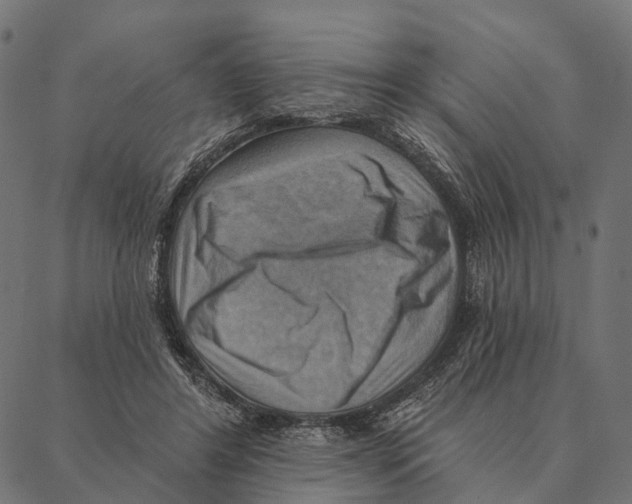 X0000087350404200705181131