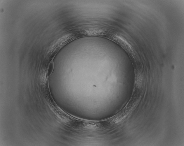 X0000087350405200705181131