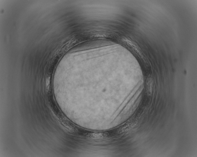 X0000087350406200705181131