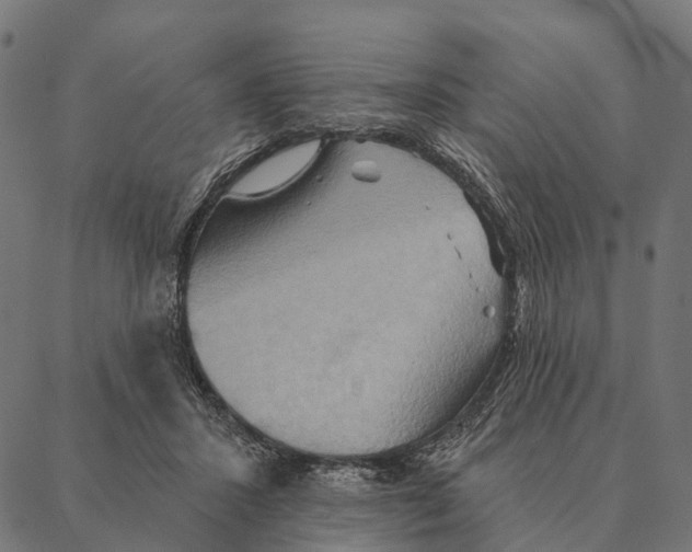 X0000087350407200705181131