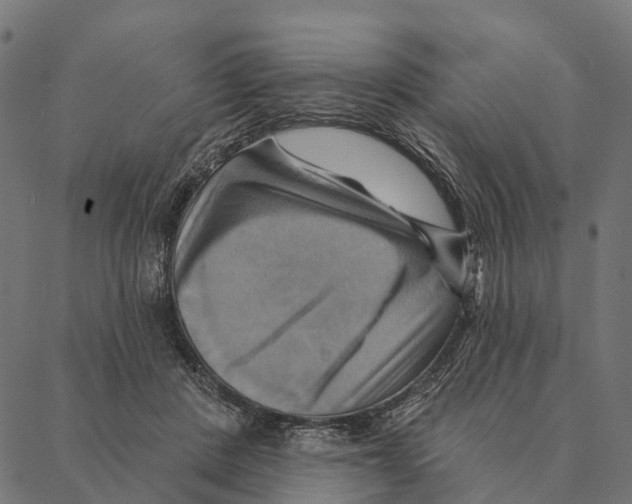 X0000087350408200705181131