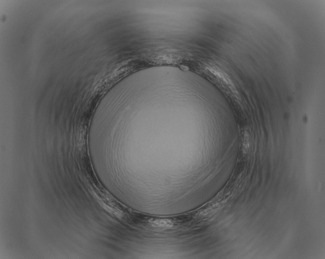 X0000087350409200705181131