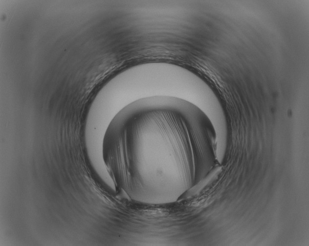 X0000087350411200705181131