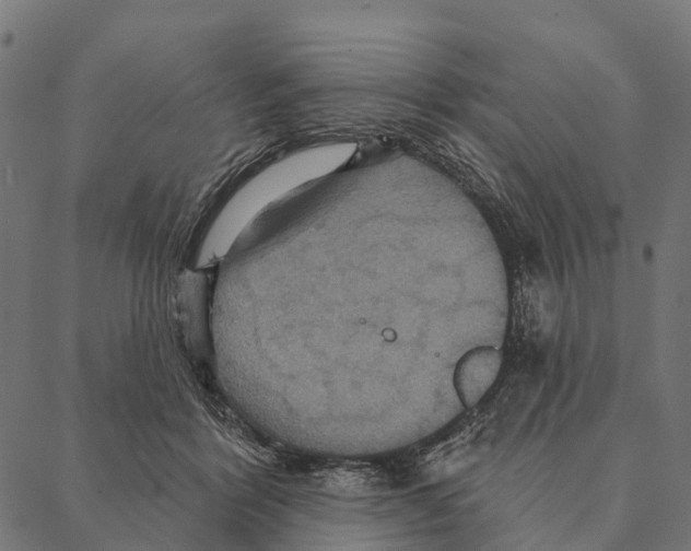 X0000087350412200705181131