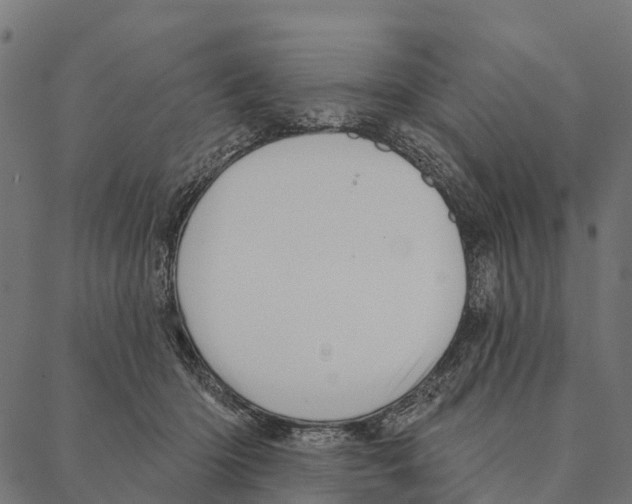 X0000087350414200705181131