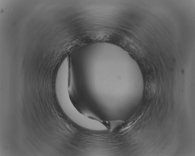 X0000087350416200705181131