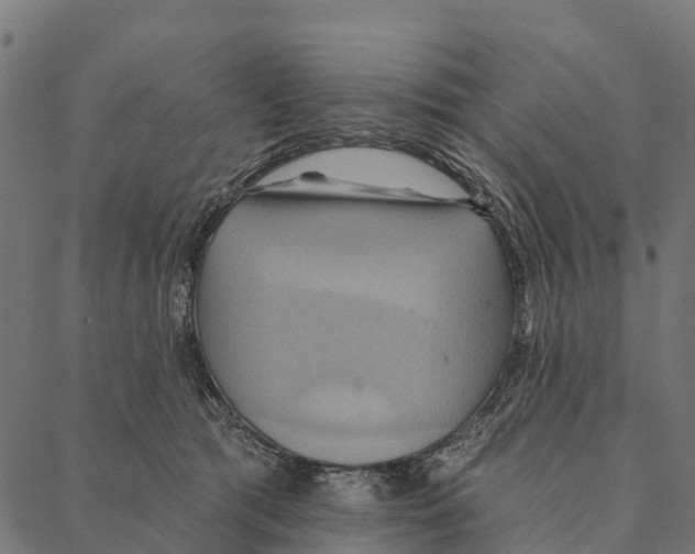 X0000087350417200705181131