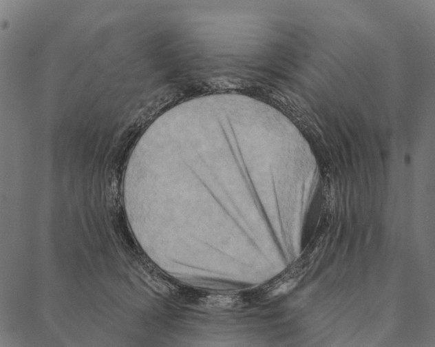 X0000087350418200705181131