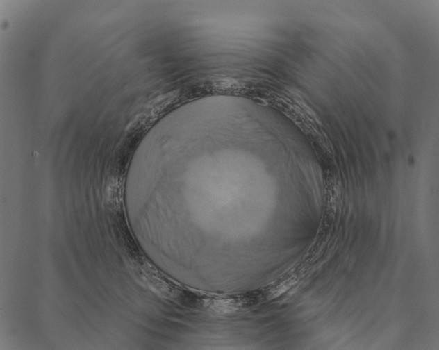 X0000087350419200705181131