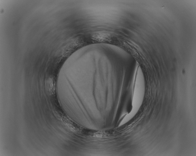 X0000087350420200705181131