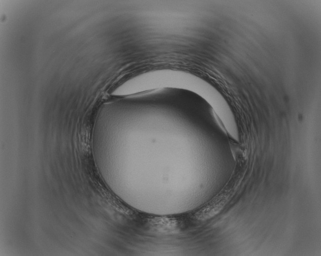 X0000087350421200705181131