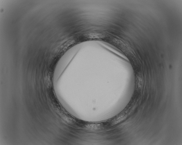 X0000087350422200705181131