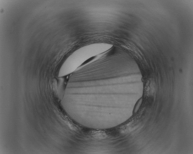 X0000087350424200705181131