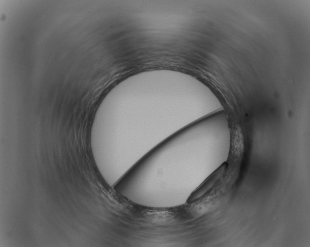 X0000087350428200705181131