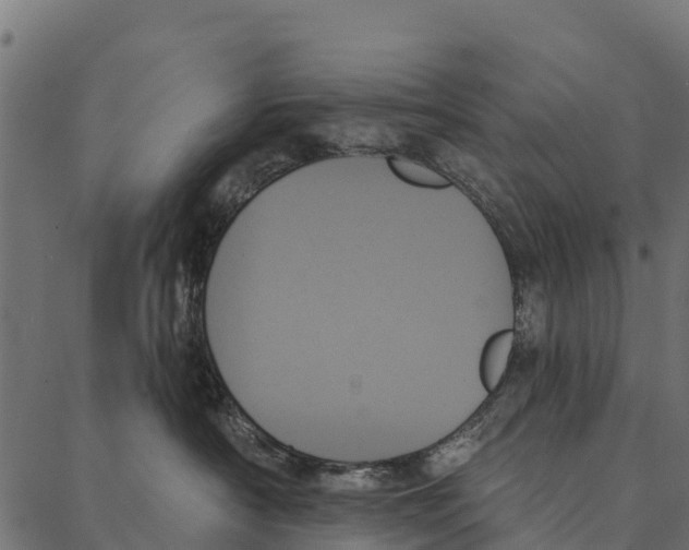 X0000087350430200705181131