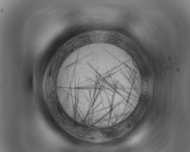 X0000087350431200705181131