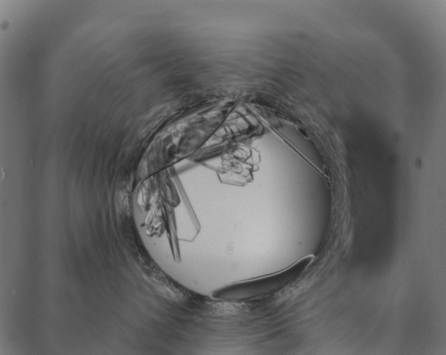 X0000087350432200705181131