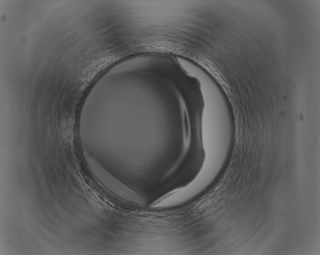 X0000087350434200705181130