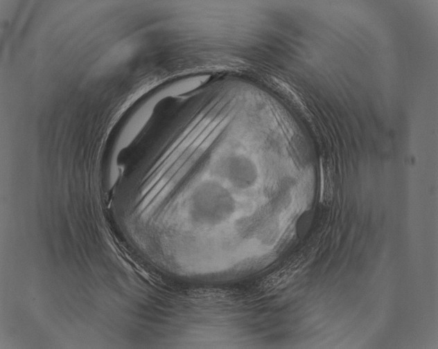 X0000087350435200705181130