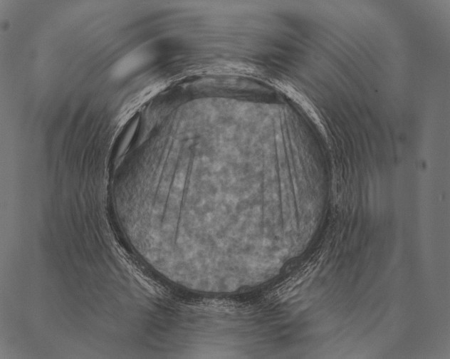 X0000087350437200705181130