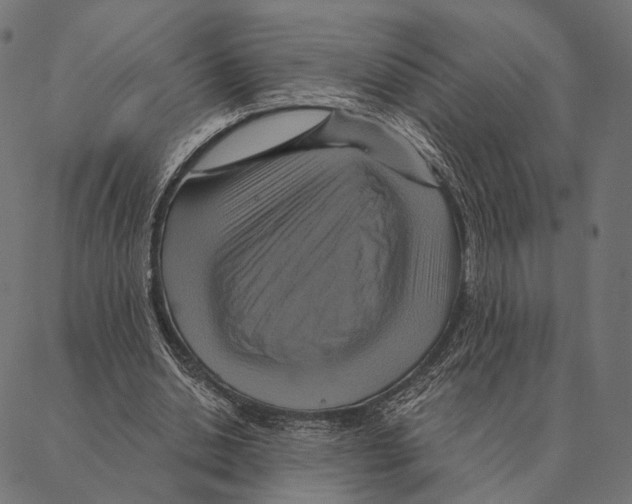 X0000087350438200705181130