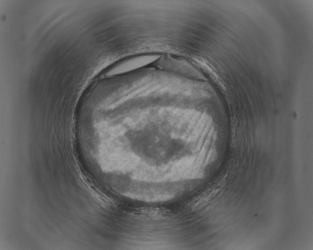 X0000087350439200705181130